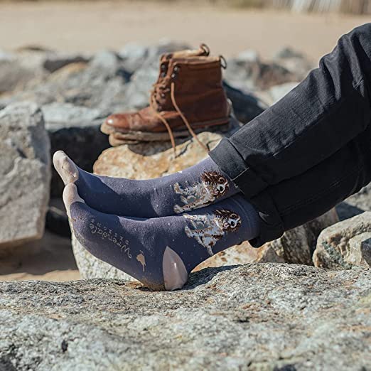 Springer Spaniel Men's Bamboo Socks