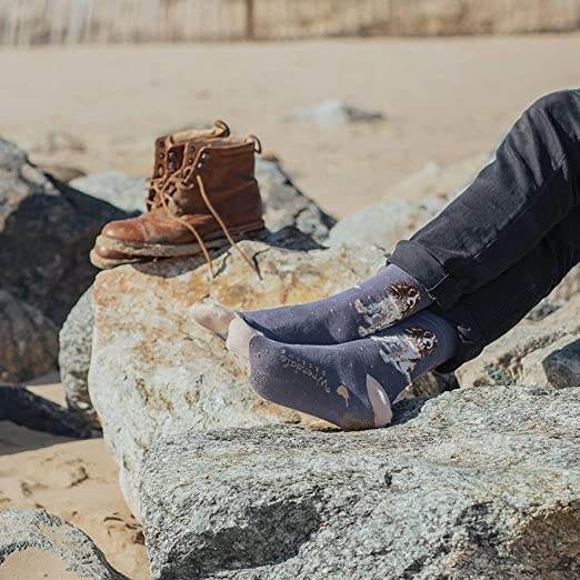 Springer Spaniel Men's Bamboo Socks - House of Cards