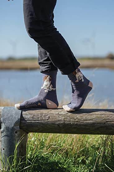 Springer Spaniel Men's Bamboo Socks - House of Cards