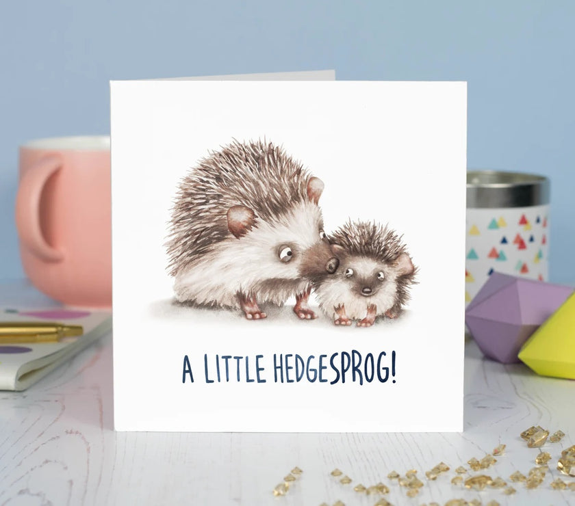 Hedgehog New Baby Card