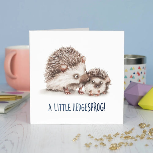Hedgehog New Baby Card