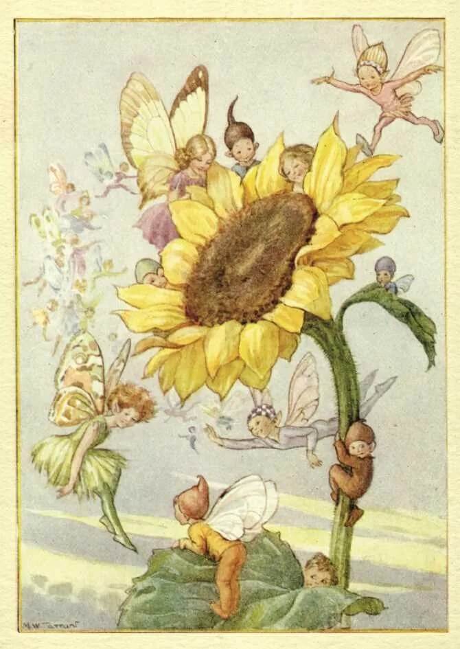 Sunflower Fairies Birthday Card
