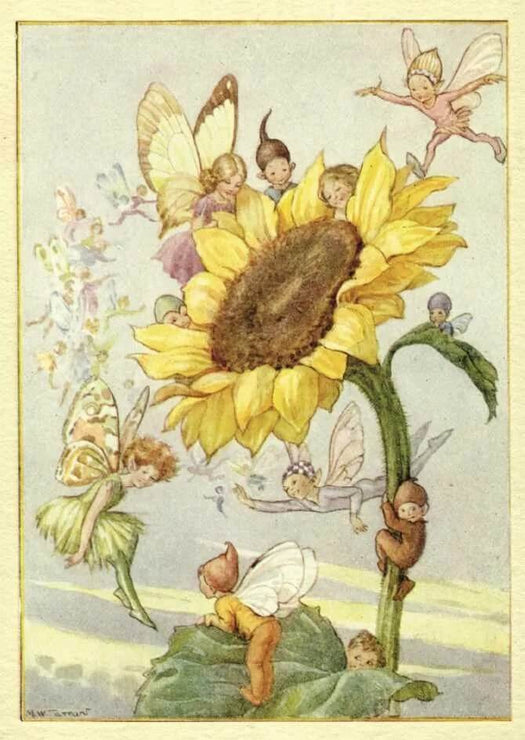 Sunflower Fairies Birthday Card