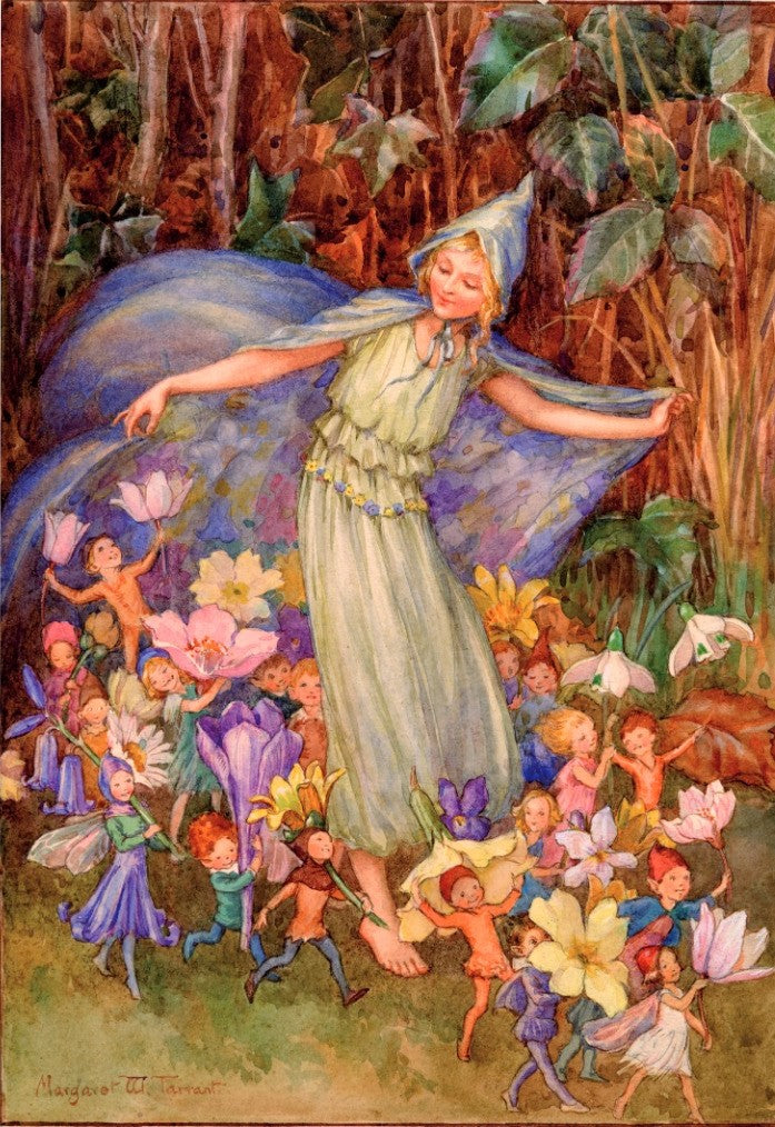 Fairy Troupe Birthday Card