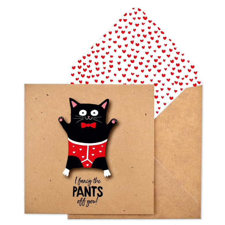 Cat in Pants Greetings Card