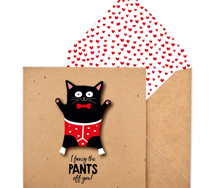 Cat in Pants Greetings Card