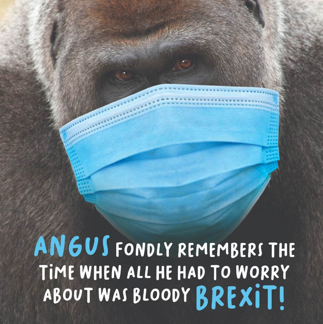 Brexit Birthday Card - House of Cards