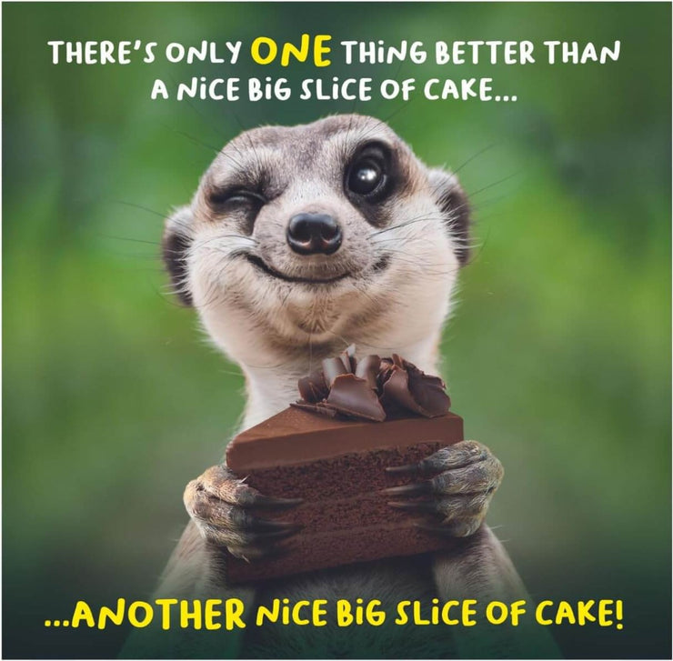 Nice Big Slice of Cake Birthday Card