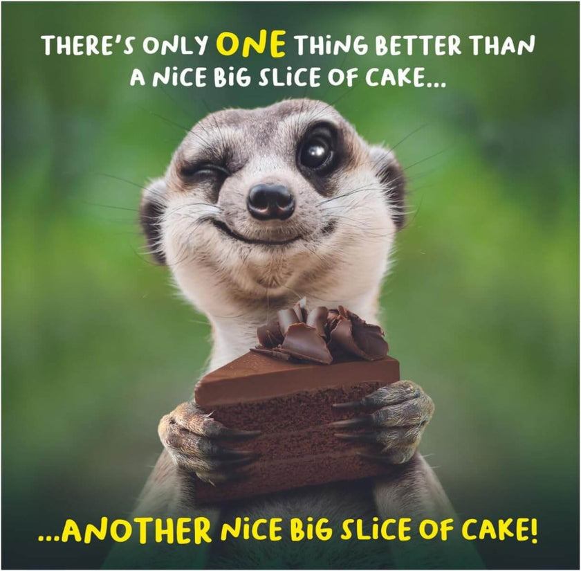 Nice Big Slice of Cake Birthday Card