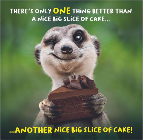 Nice Big Slice of Cake Birthday Card