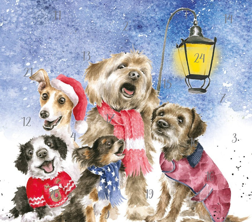 Dogs Christmas Carol Singers A4 Advent Calendar