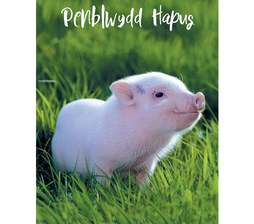 Mochyn Pinc Pen-blwydd Hapus