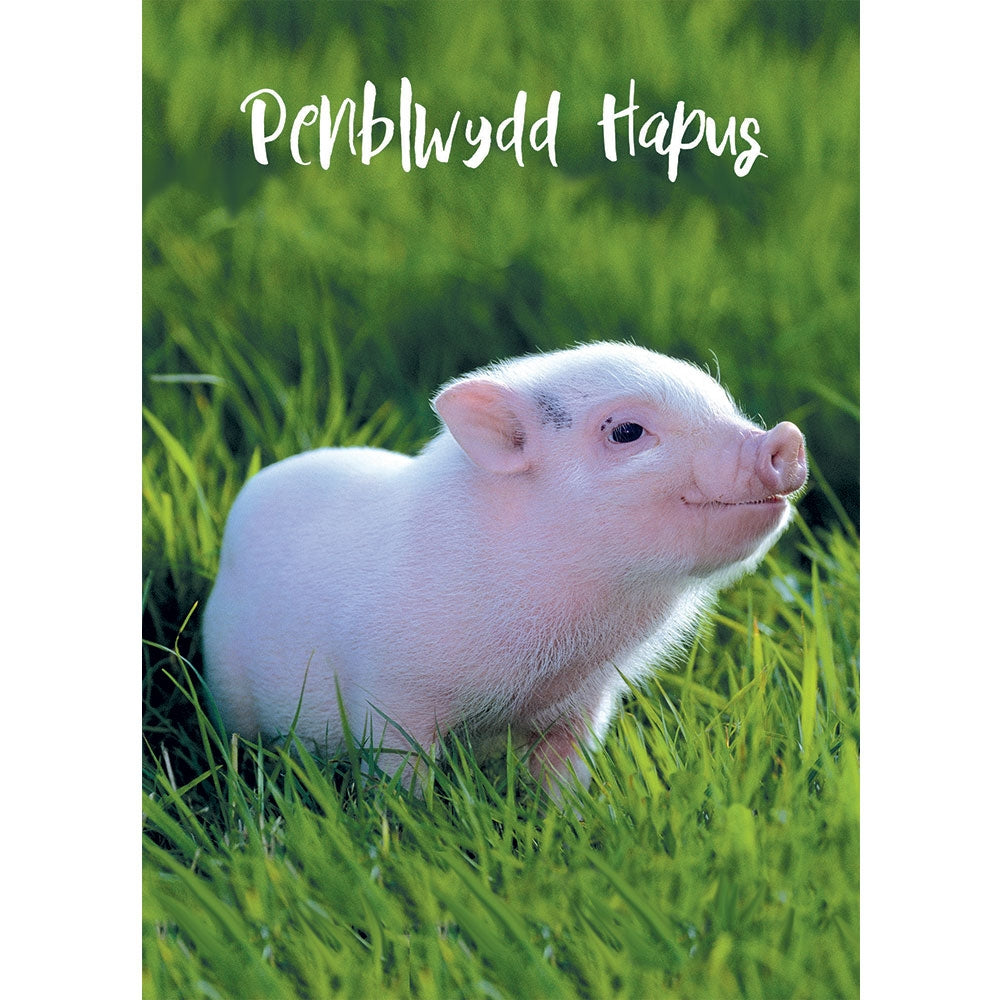 Mochyn Pinc Pen-blwydd Hapus