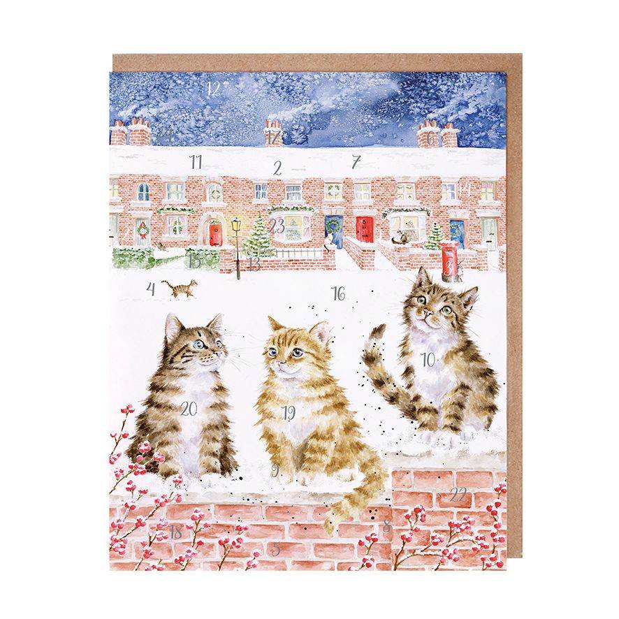 Cats Advent Calendar - House of Cards