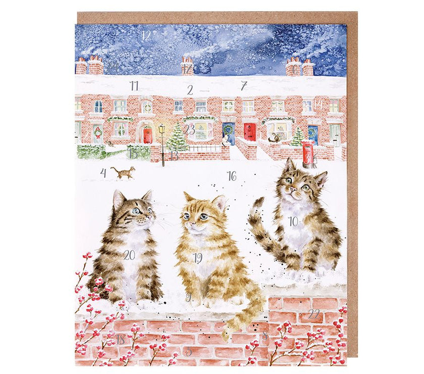 Cats Advent Calendar