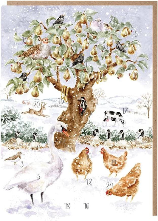 Swans and Hens Advent Calendar Card