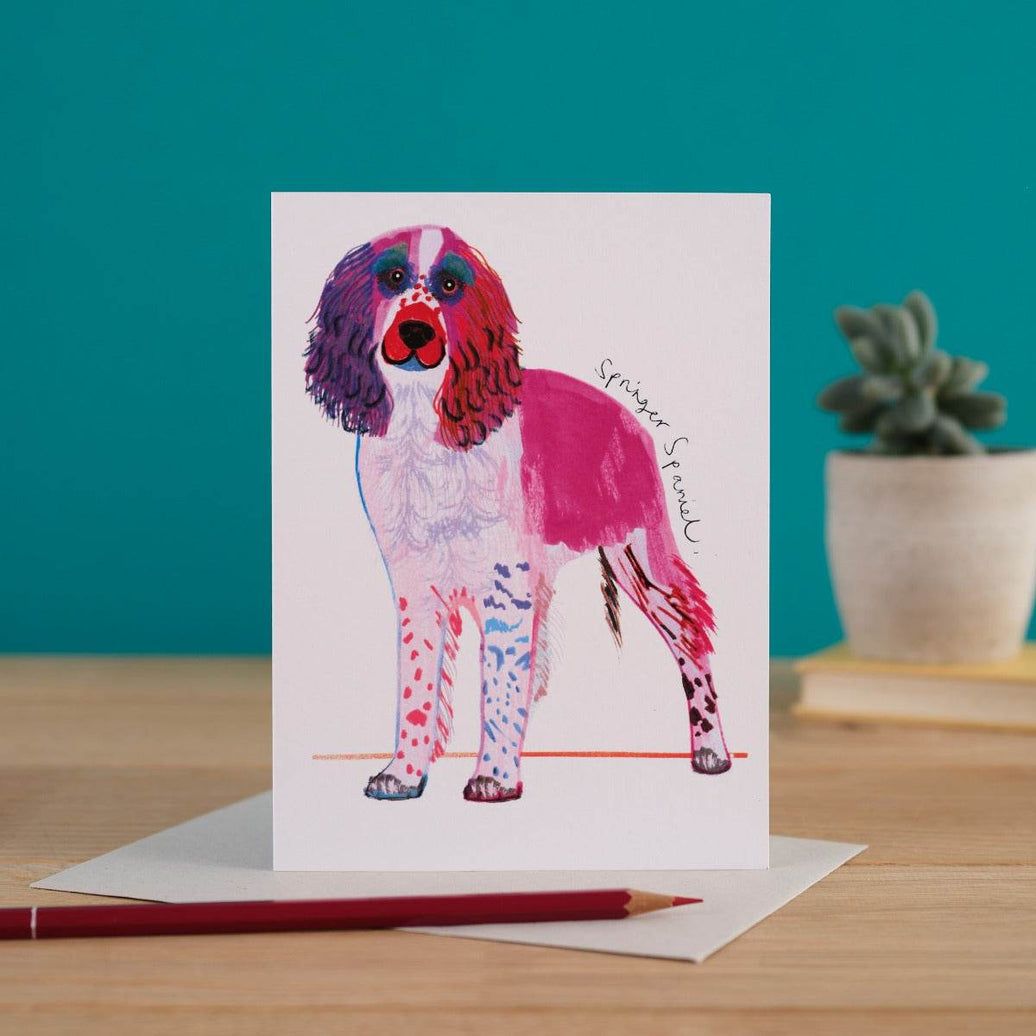 Springer Spaniel Card - House of Cards
