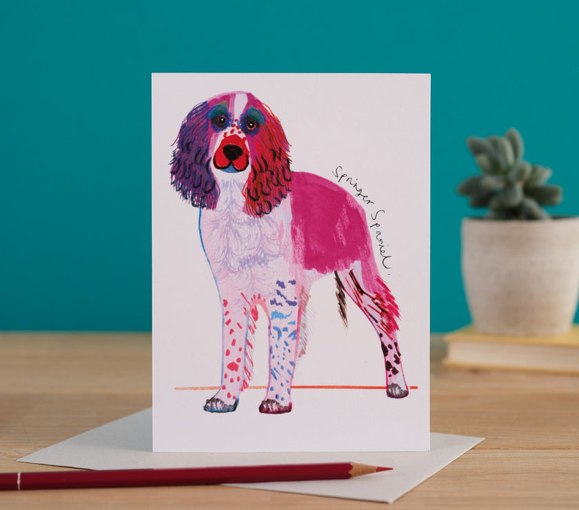 Springer Spaniel Card