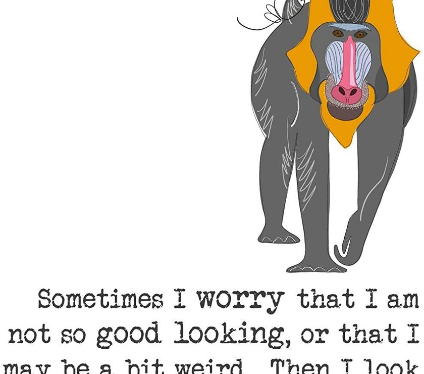 Baboon Brother Birthday Card - House of Cards