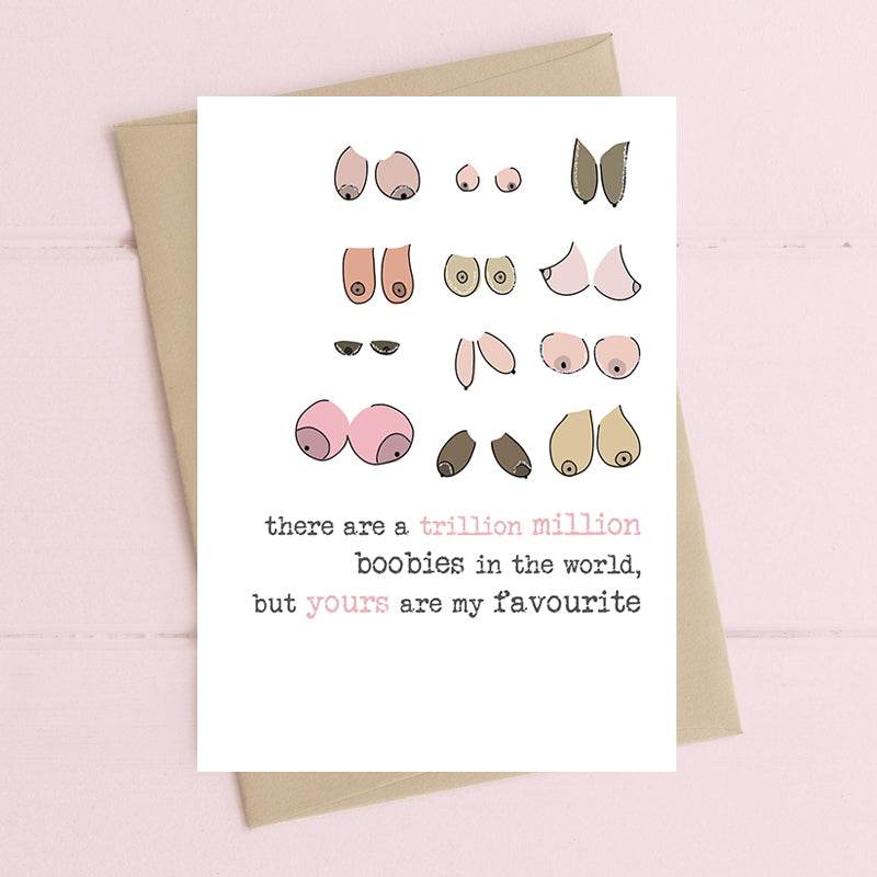 Trillion Million Boobies Valentine Card - House of Cards
