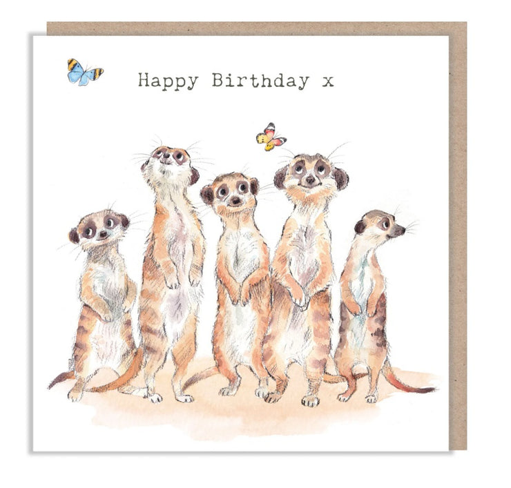 Meerkats Birthday Card