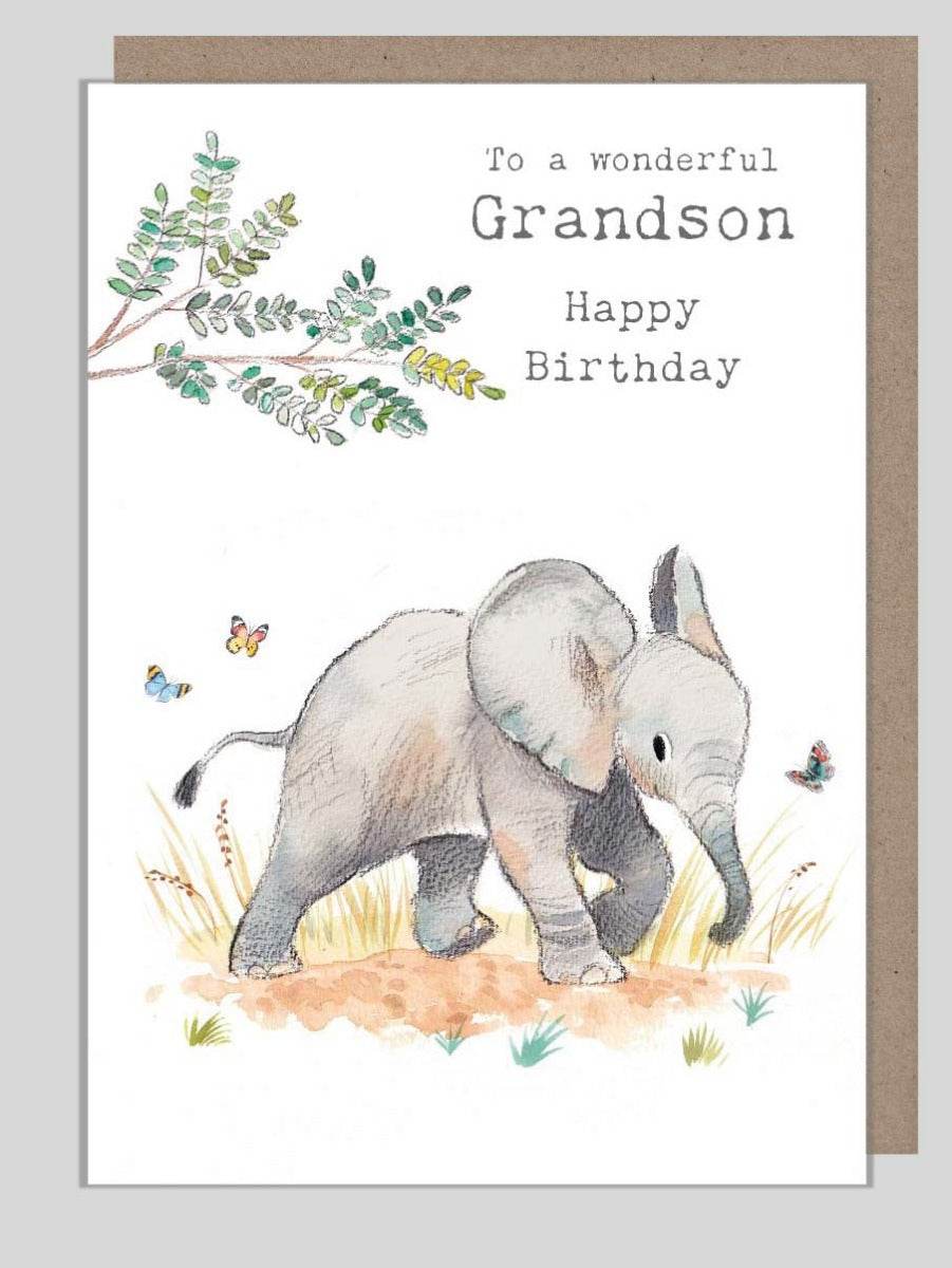 Grandson Elephant Birthday Card - House of Cards