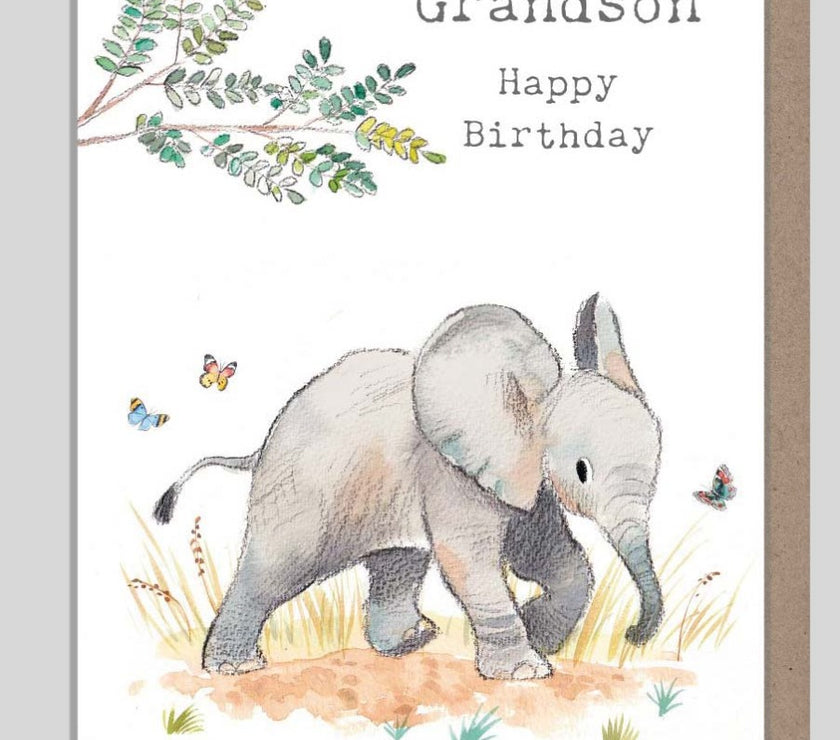 Grandson Elephant Birthday Card