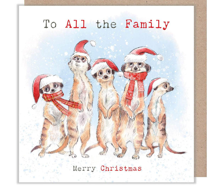 All The Family Christmas Card - House of Cards