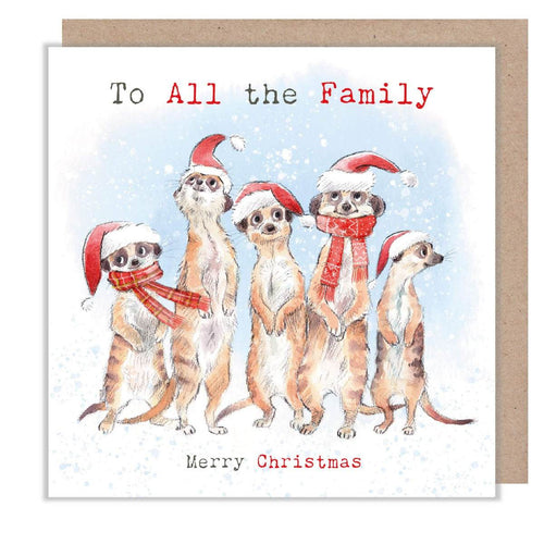 All The Family Christmas Card - House of Cards