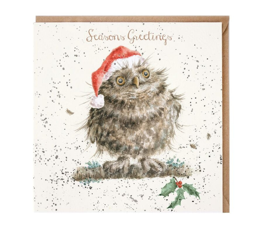 Christmas Owl Card