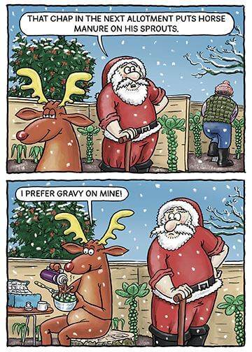 Allotment Christmas Card - House of Cards