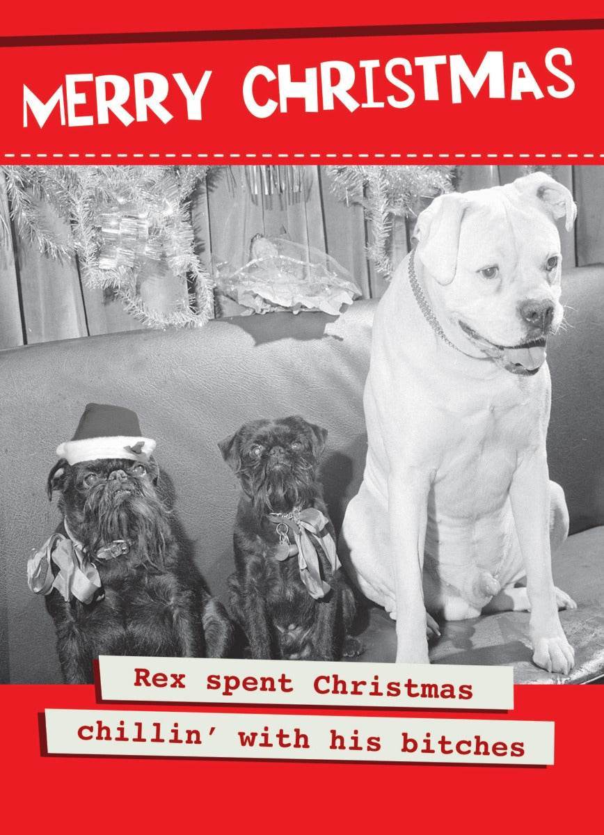 Rex Chillin Christmas Card - House of Cards
