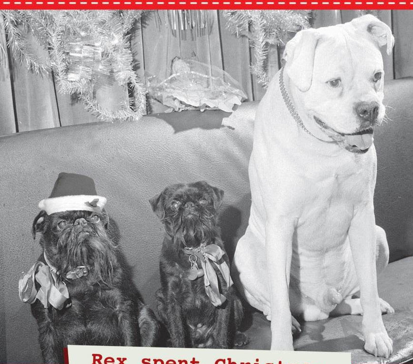 Rex Chillin Christmas Card - House of Cards
