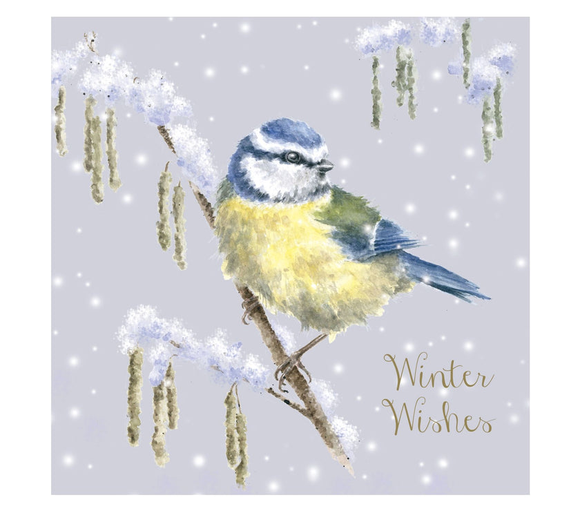 Blue Tit Christmas Cards