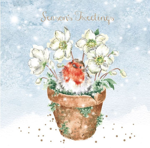 Seasons Tweetings