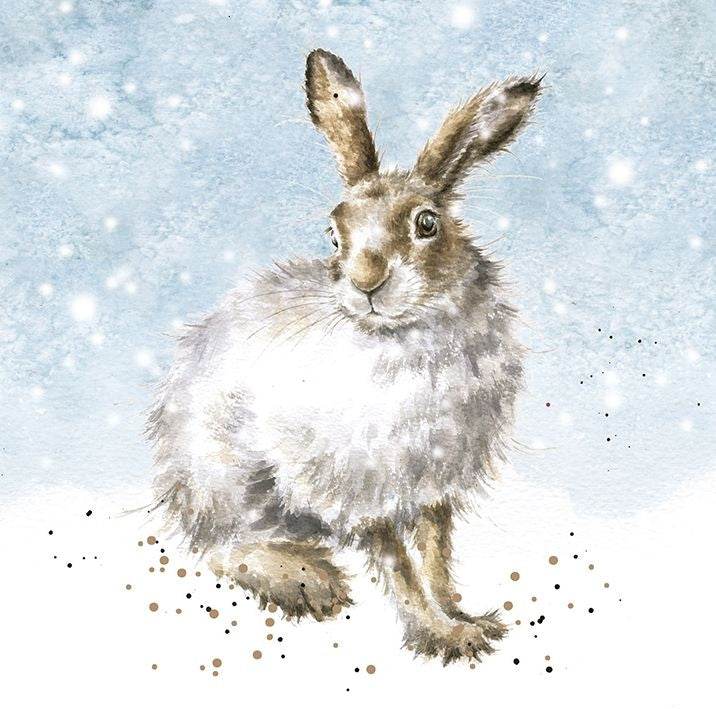 Winter Hare Christmas Cards - House of Cards