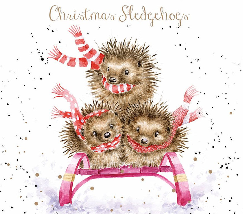 Sledgehogs Christmas Cards