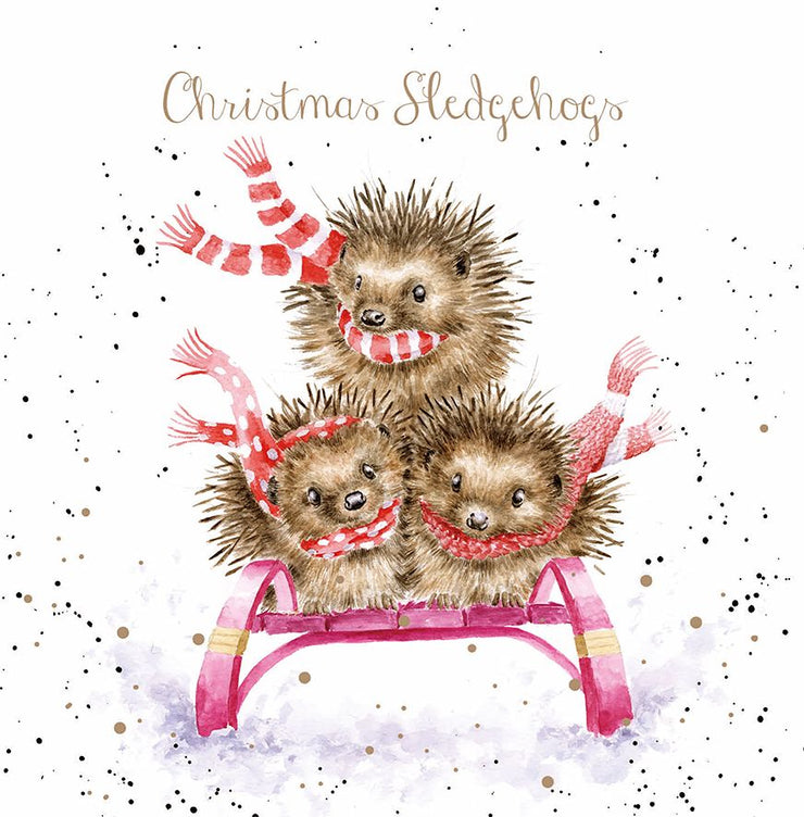 Sledgehogs Christmas Cards
