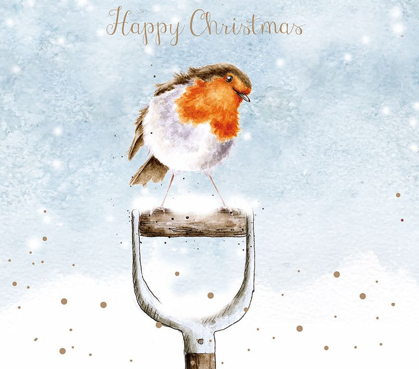 Robin on Spade Christmas Cards
