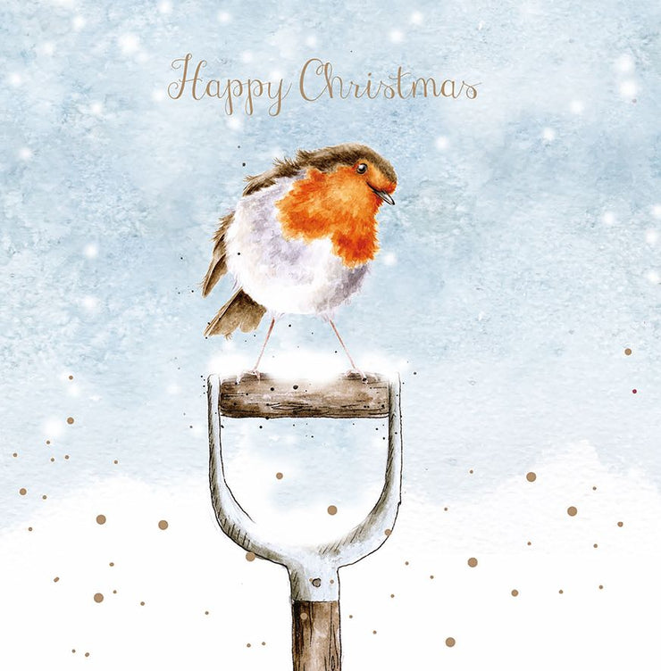 Robin on Spade Christmas Cards