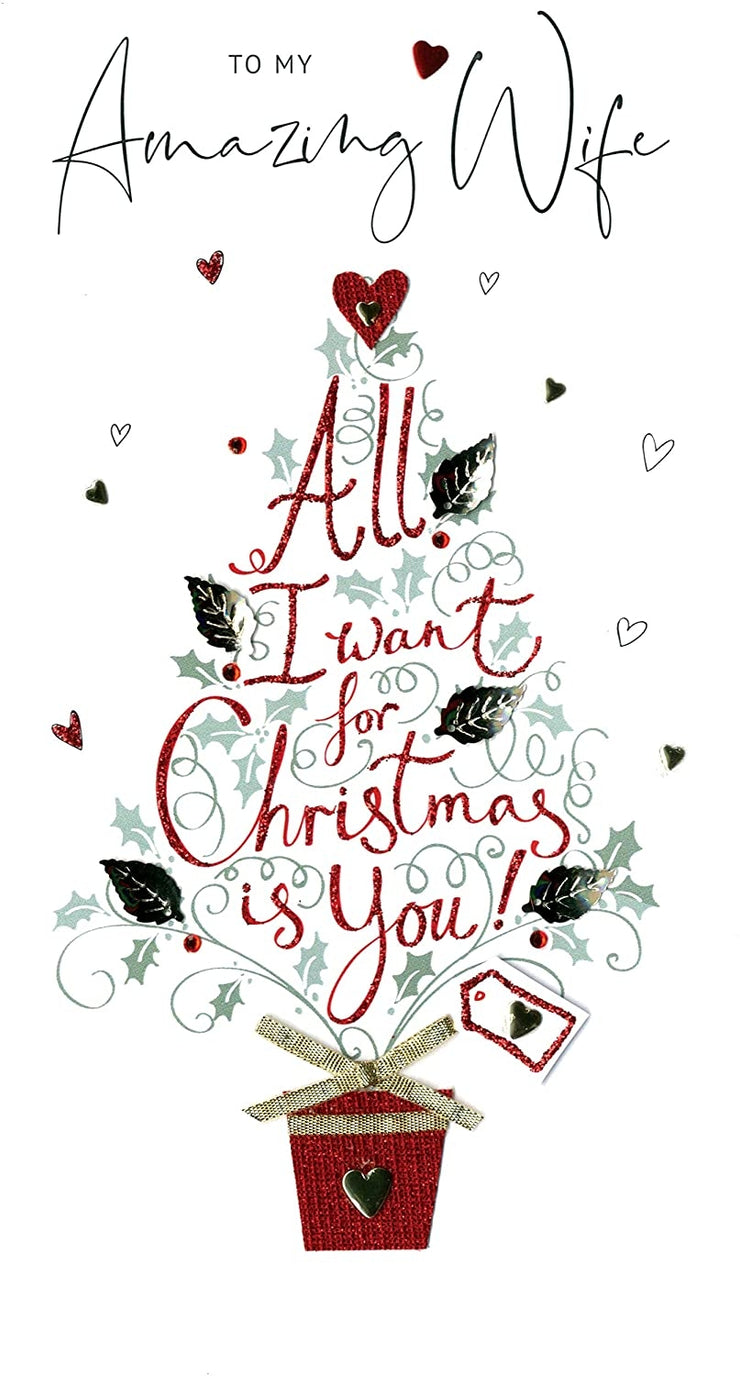 Wife All I Want for Christmas Card