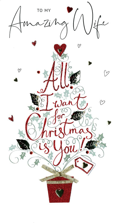 Wife All I Want for Christmas Card