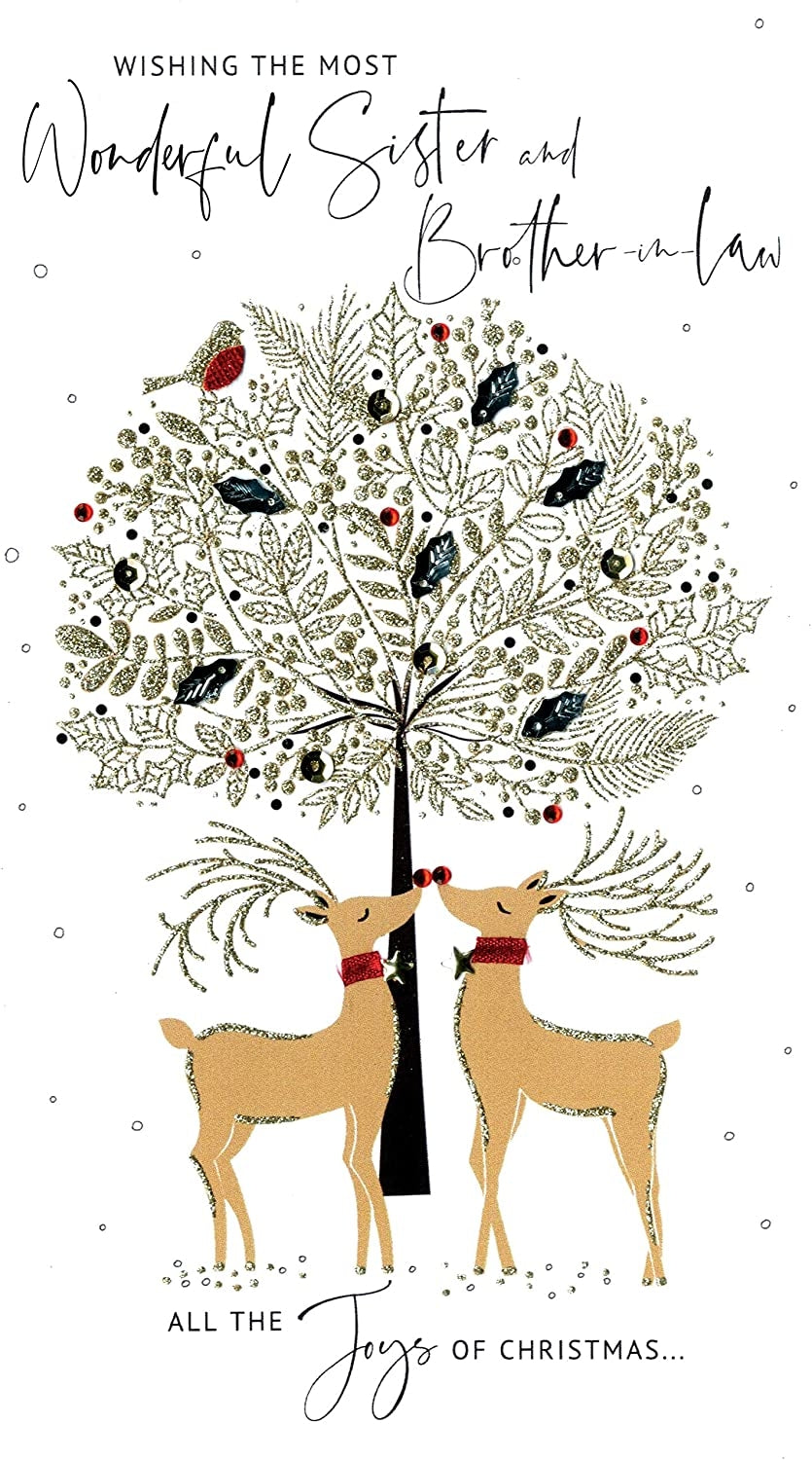 Sister and Brother-in-law Christmas Card
