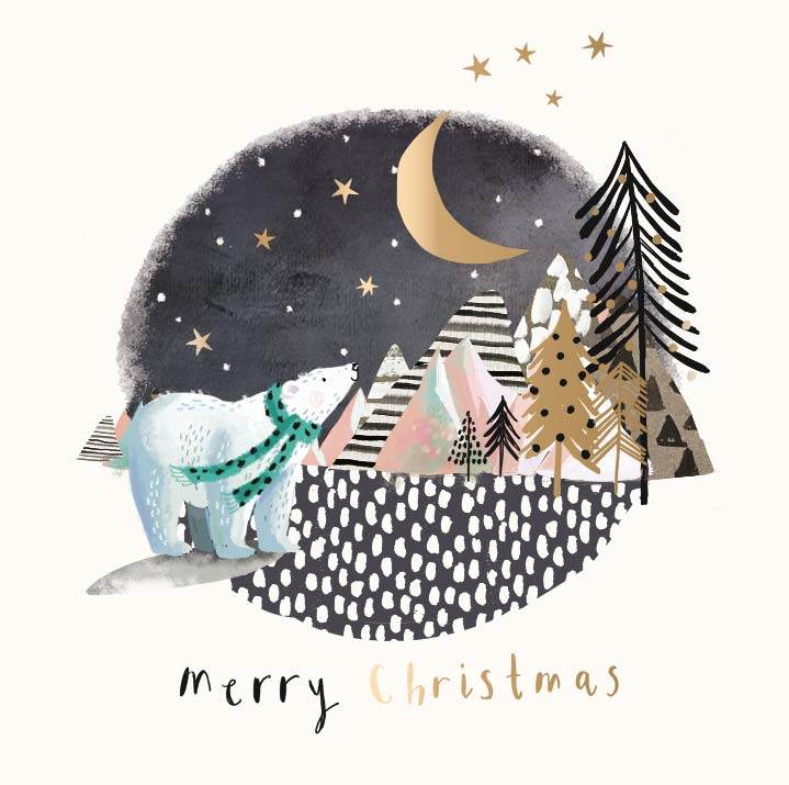 Artic Christmas 8 Christmas Card Wallet - House of Cards