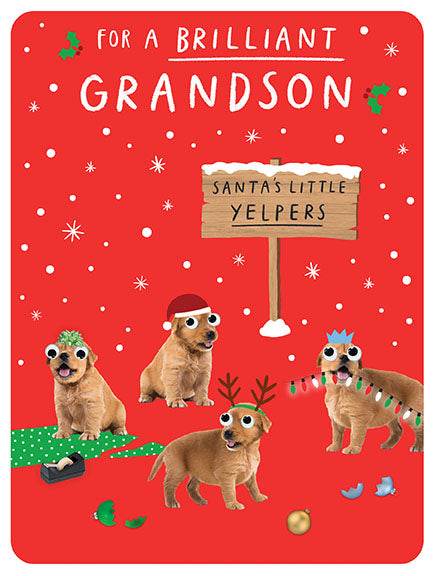 Little Yelpers Grandson Christmas Card - House of Cards