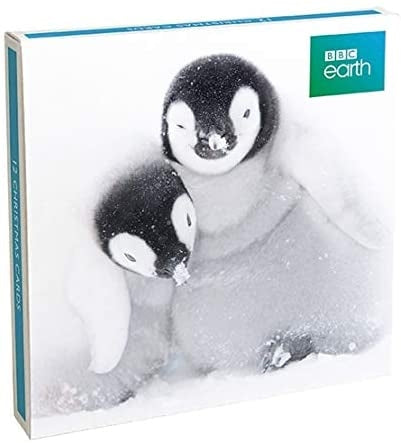BBC Earth Penguins Christmas Boxed Cards