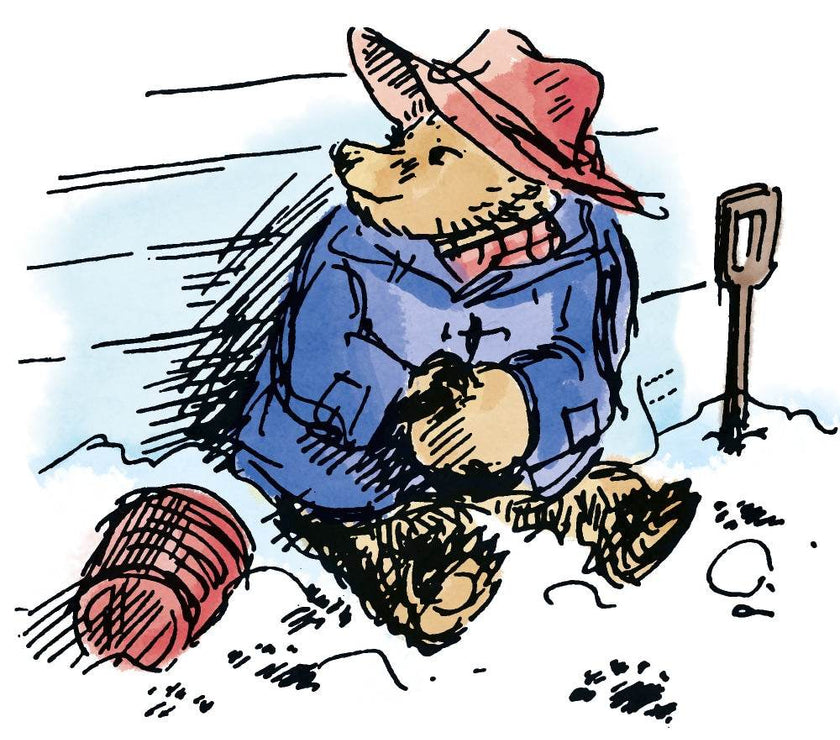 Paddington Bear 16 Christmas Cards Box - House of Cards