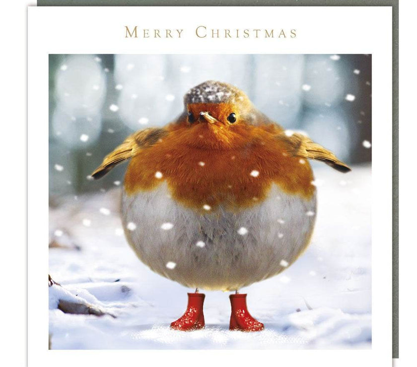 5 Red-Booted Robin Charity Christmas Cards - House of Cards