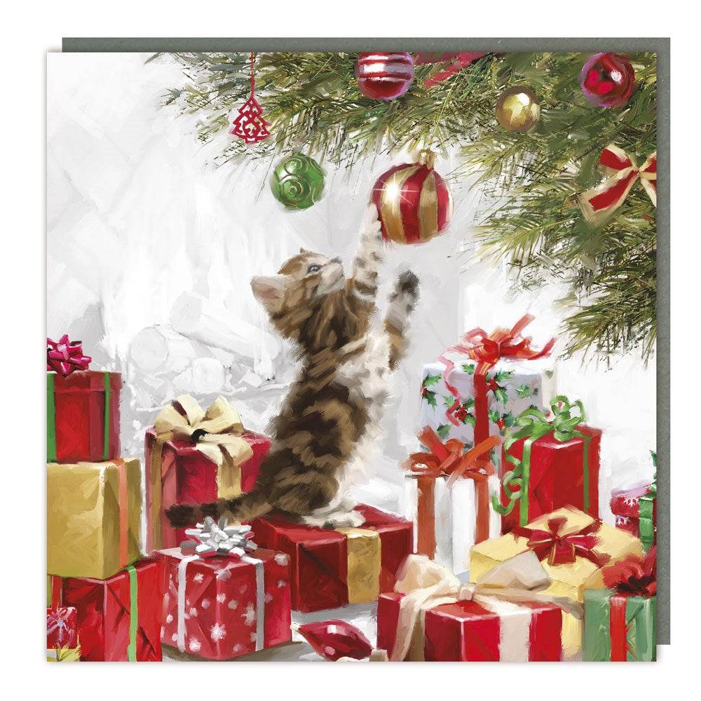 5 Playful Kitten Charity Christmas Cards - House of Cards