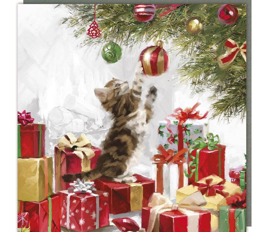 5 Playful Kitten Charity Christmas Cards - House of Cards